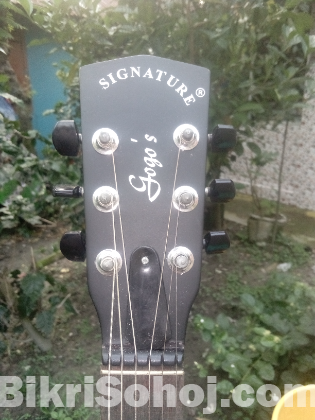 Acoustic Guiter